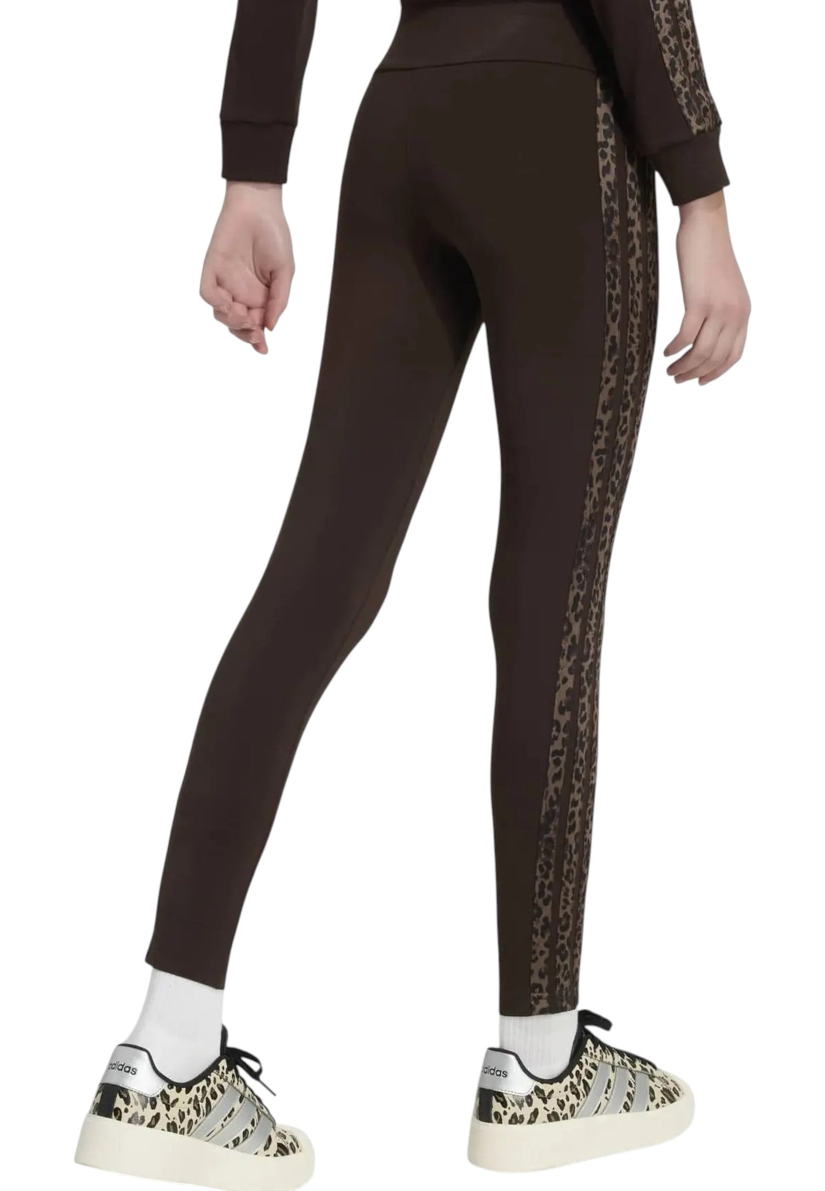 PANTALONI Marrone Adidas