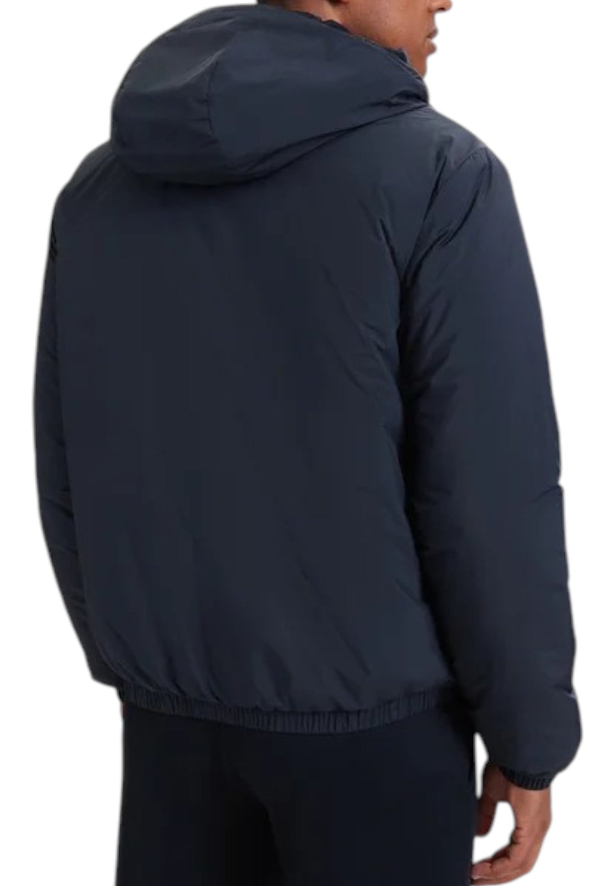 GIUBBINI E GIACCHE Blu Ea7