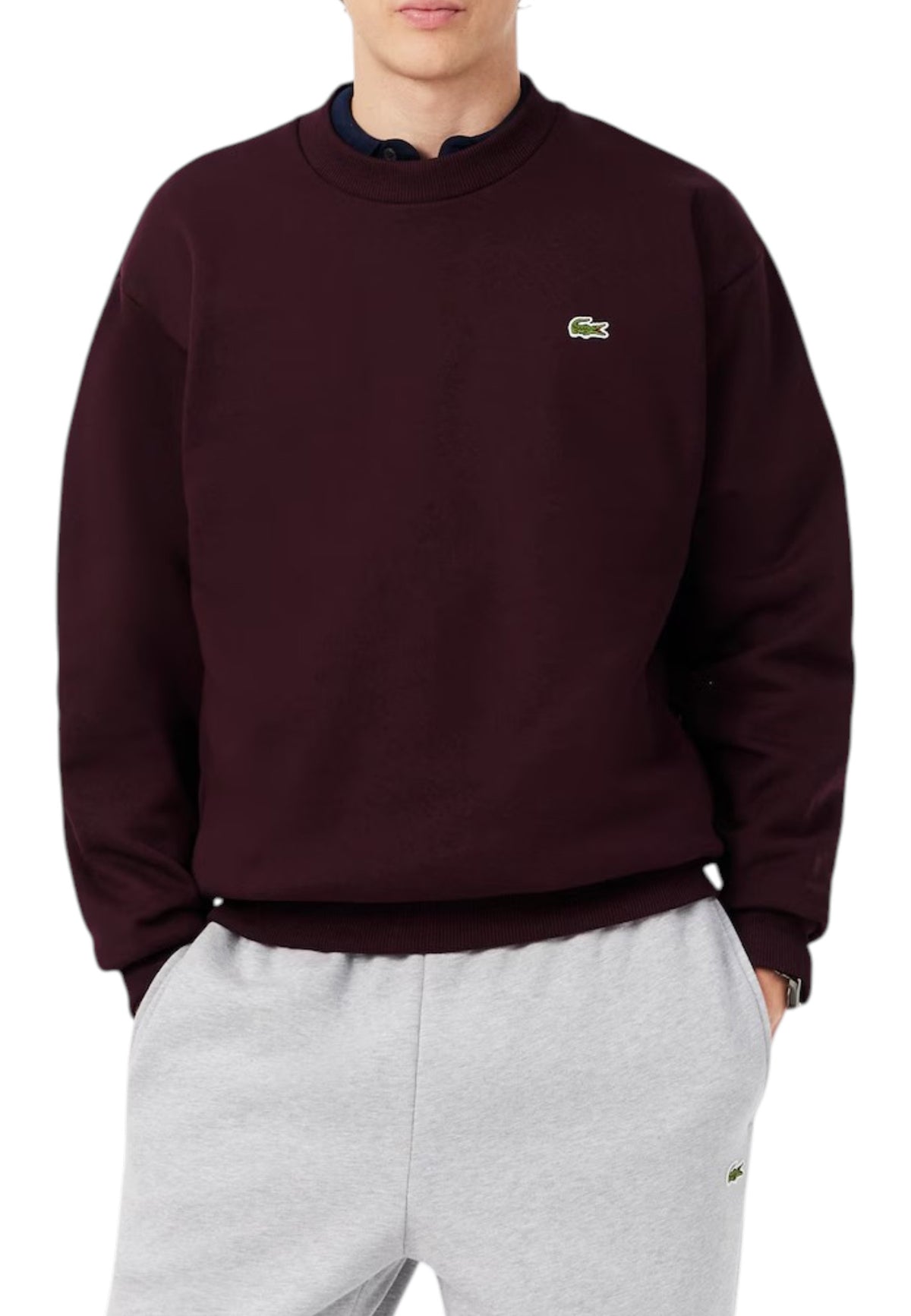 FELPE Bordeaux Lacoste