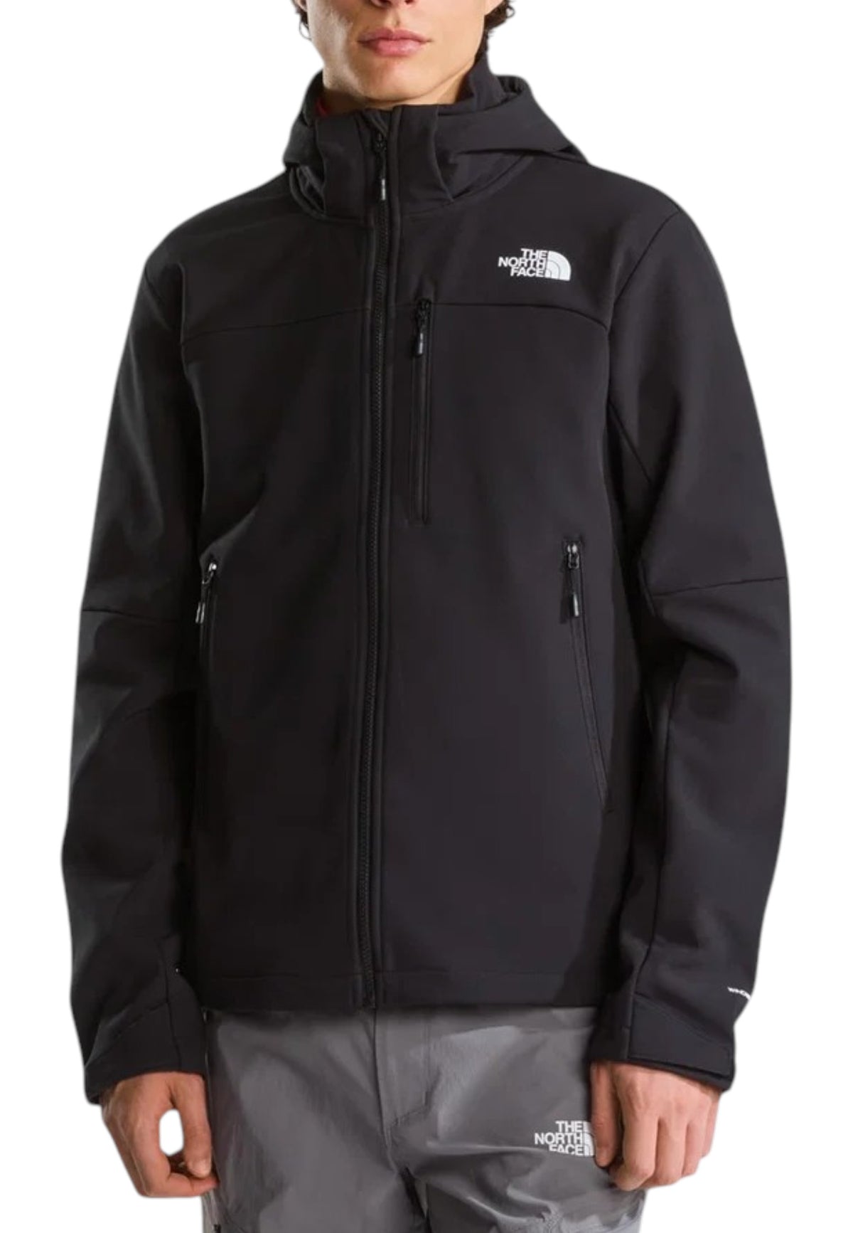 GIUBBINI E GIACCHE Nero The North Face