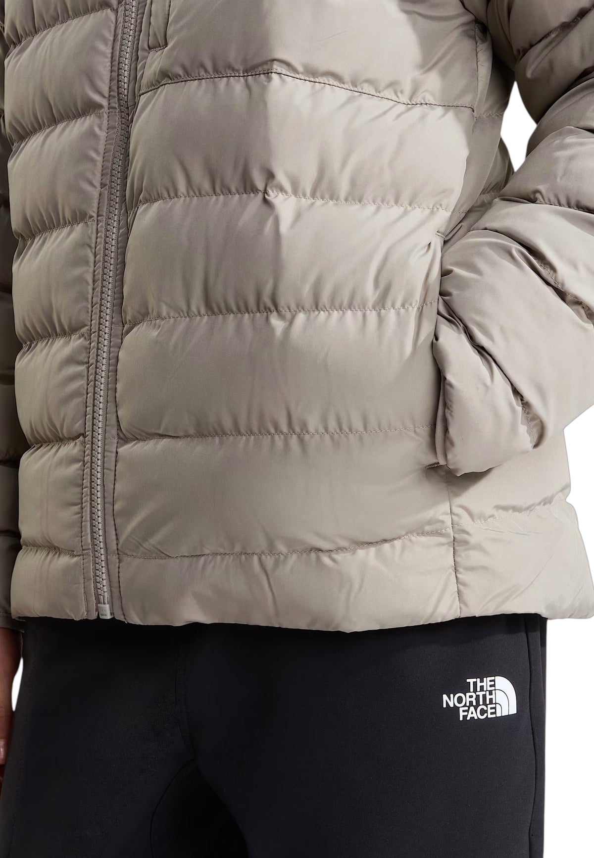 GIUBBINI E GIACCHE Beige The North Face