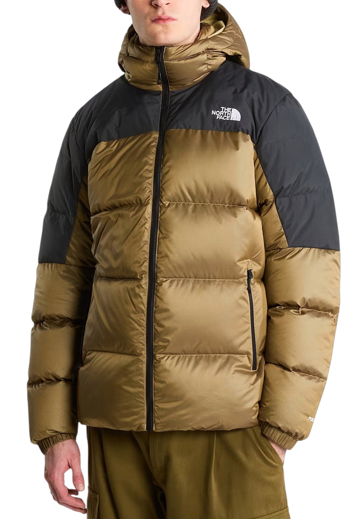 GIUBBINI E GIACCHE Bronzo The North Face