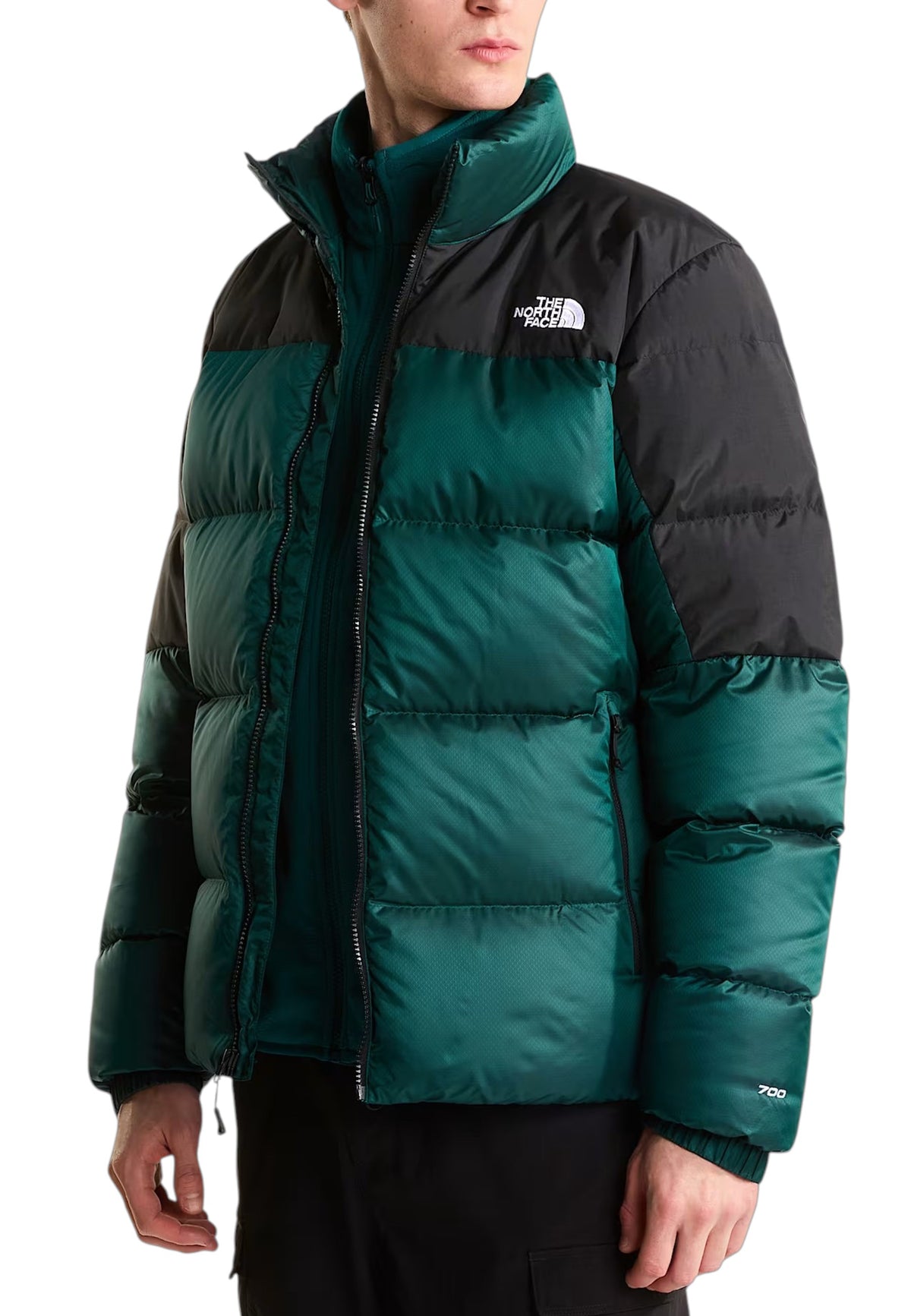 GIUBBINI E GIACCHE Verde/nero The North Face