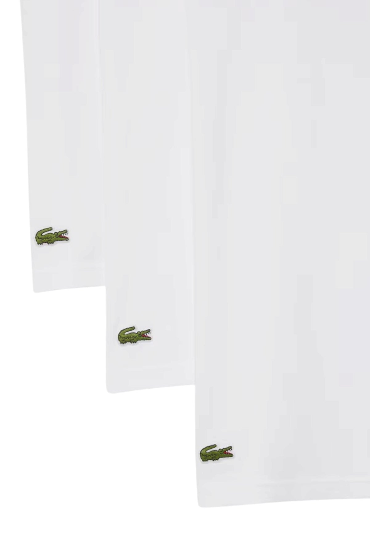 T-SHIRT E CANOTTE Bianco Lacoste