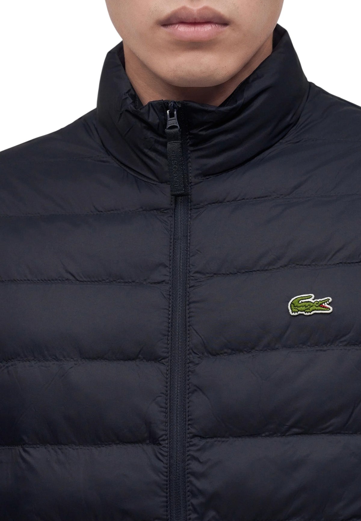 GIUBBINI E GIACCHE Marine Lacoste