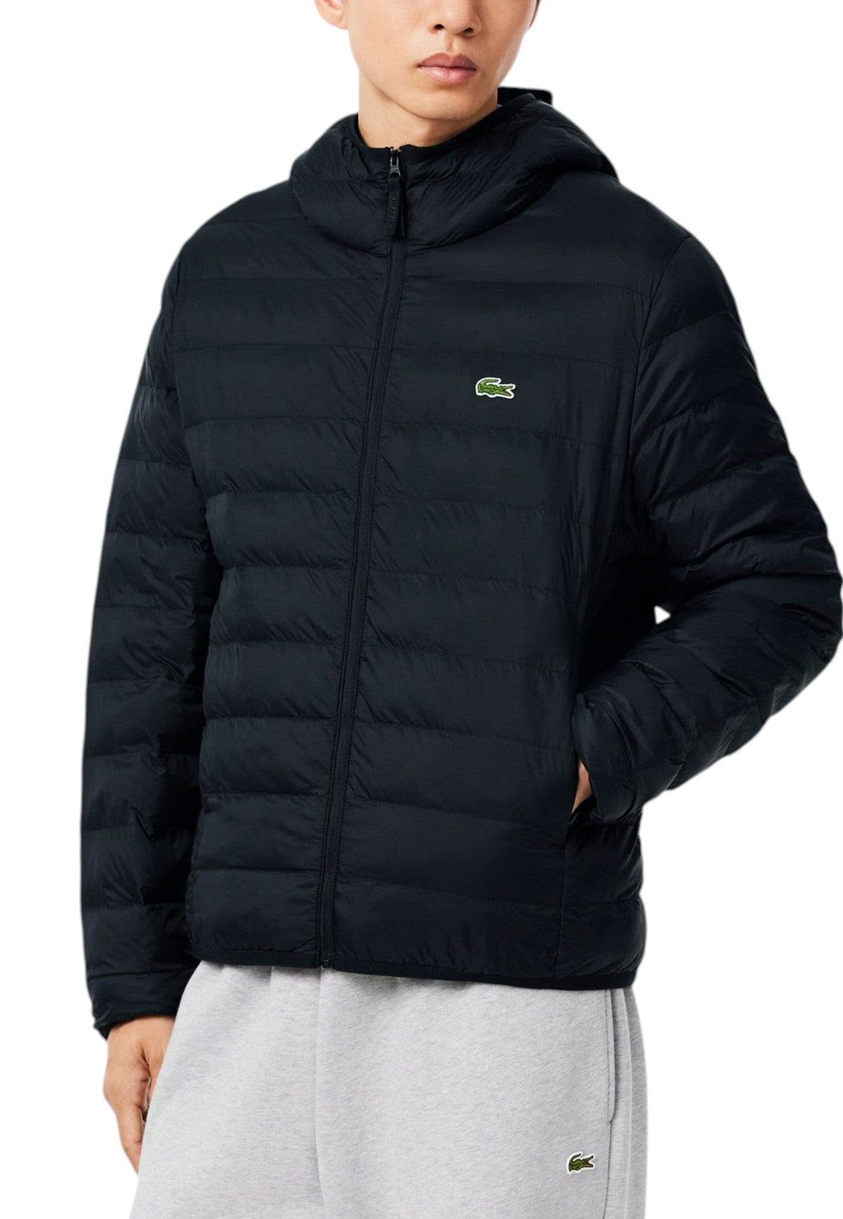 GIUBBINI E GIACCHE Nero Lacoste