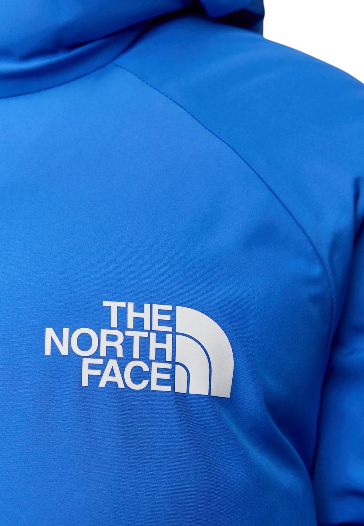 GIUBBINI E GIACCHE Blu/azzurro The North Face