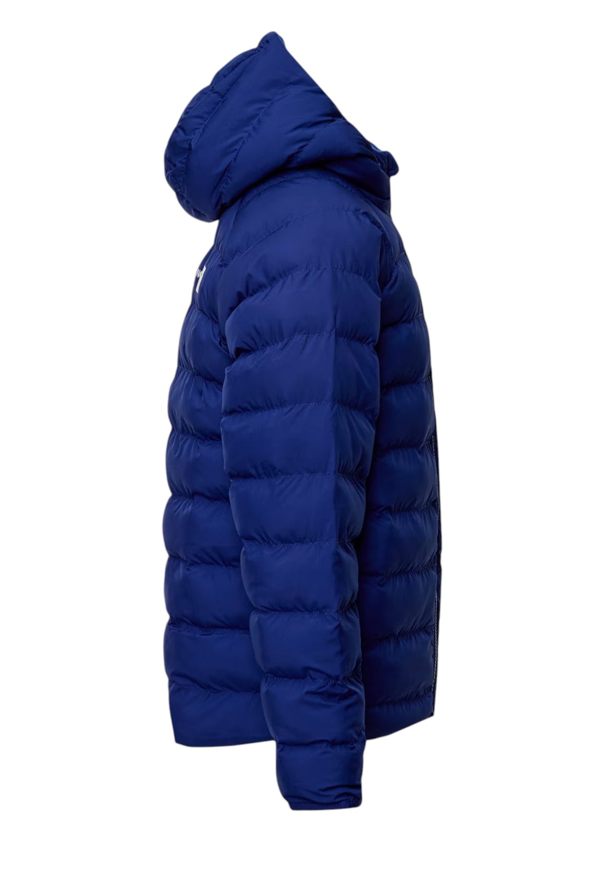 GIUBBINI E GIACCHE Blu/azzurro The North Face