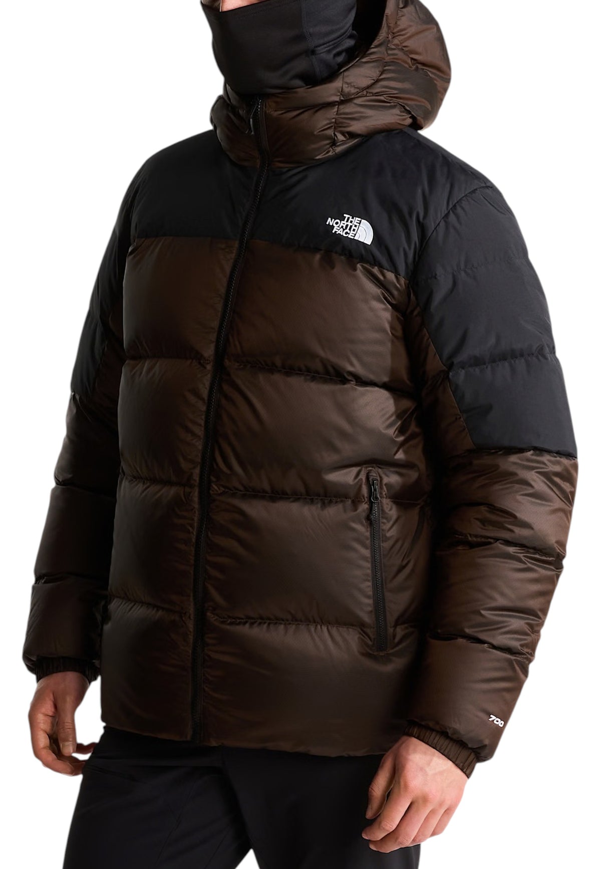 GIUBBINI E GIACCHE Marrone/nero The North Face