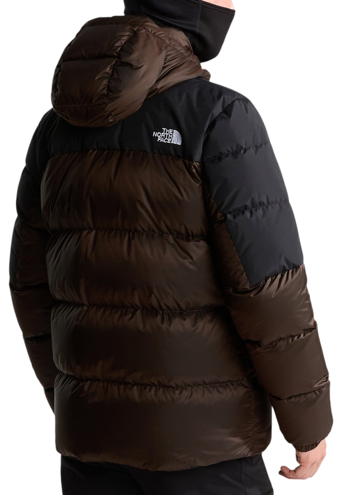 GIUBBINI E GIACCHE Marrone/nero The North Face