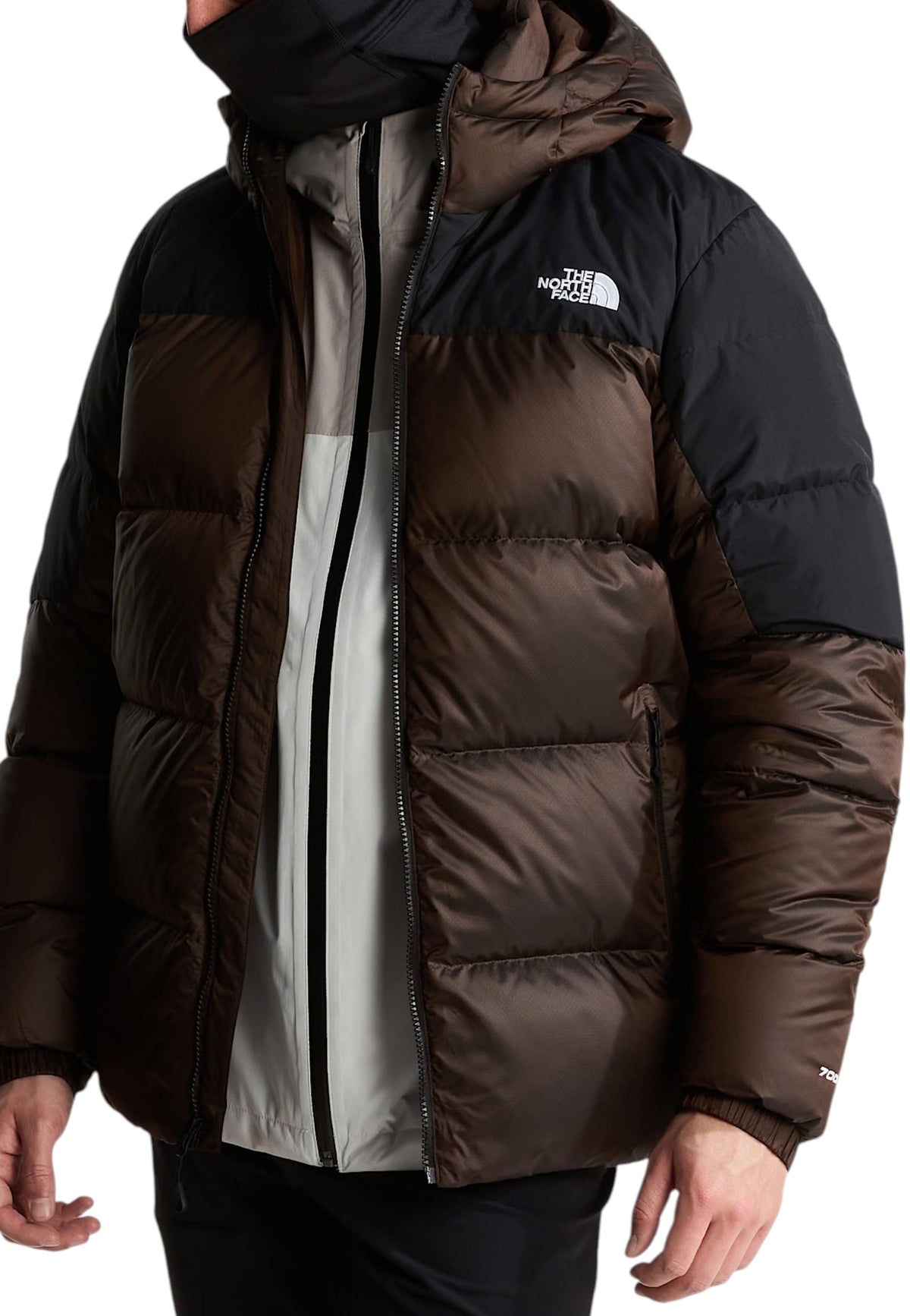 GIUBBINI E GIACCHE Marrone/nero The North Face