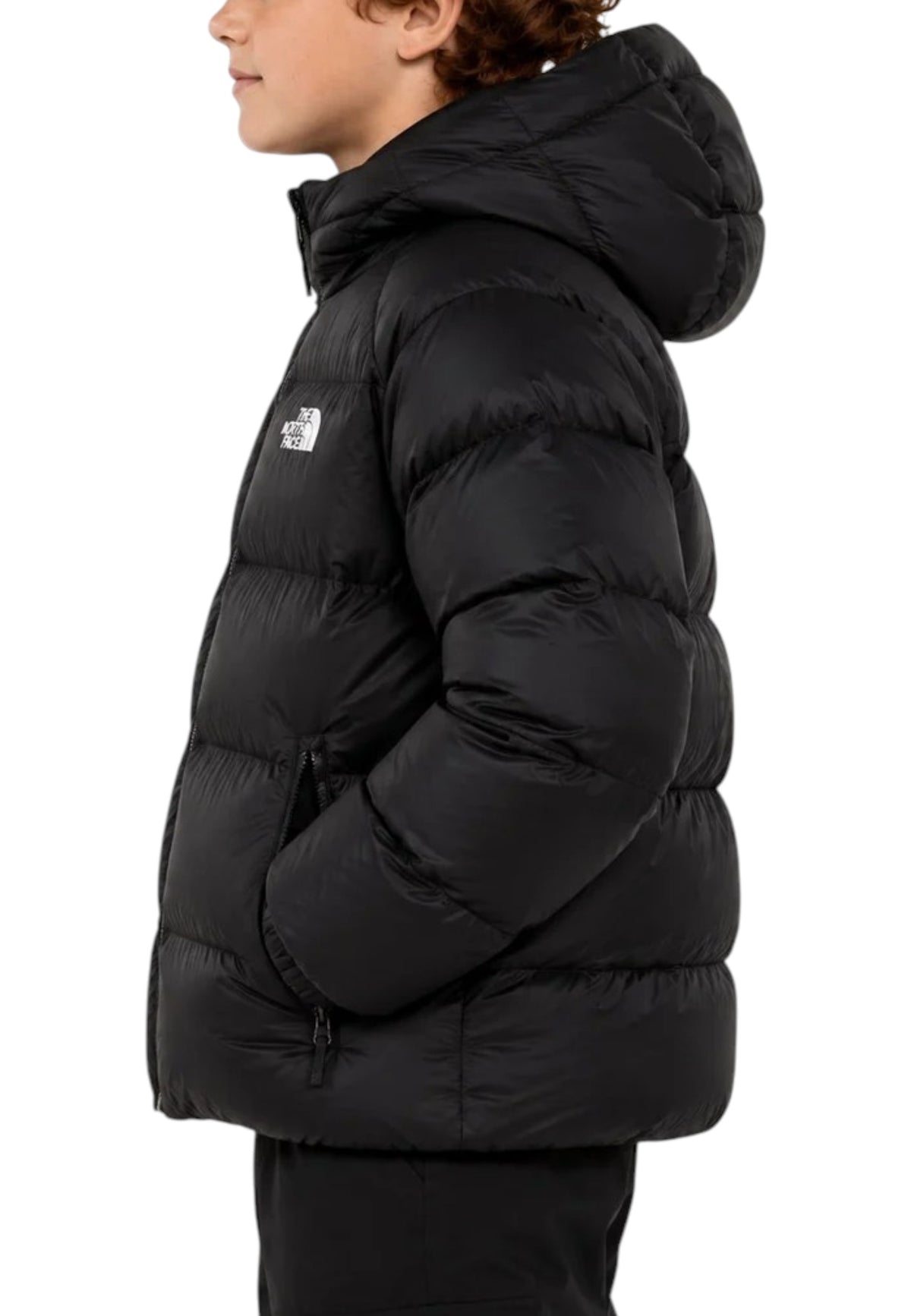 GIUBBINI E GIACCHE Nero The North Face