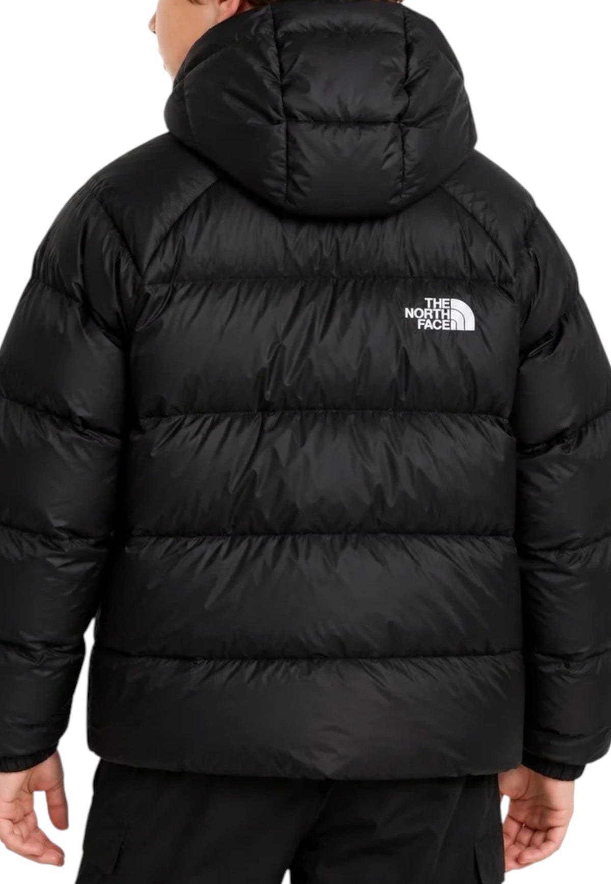 GIUBBINI E GIACCHE Nero The North Face