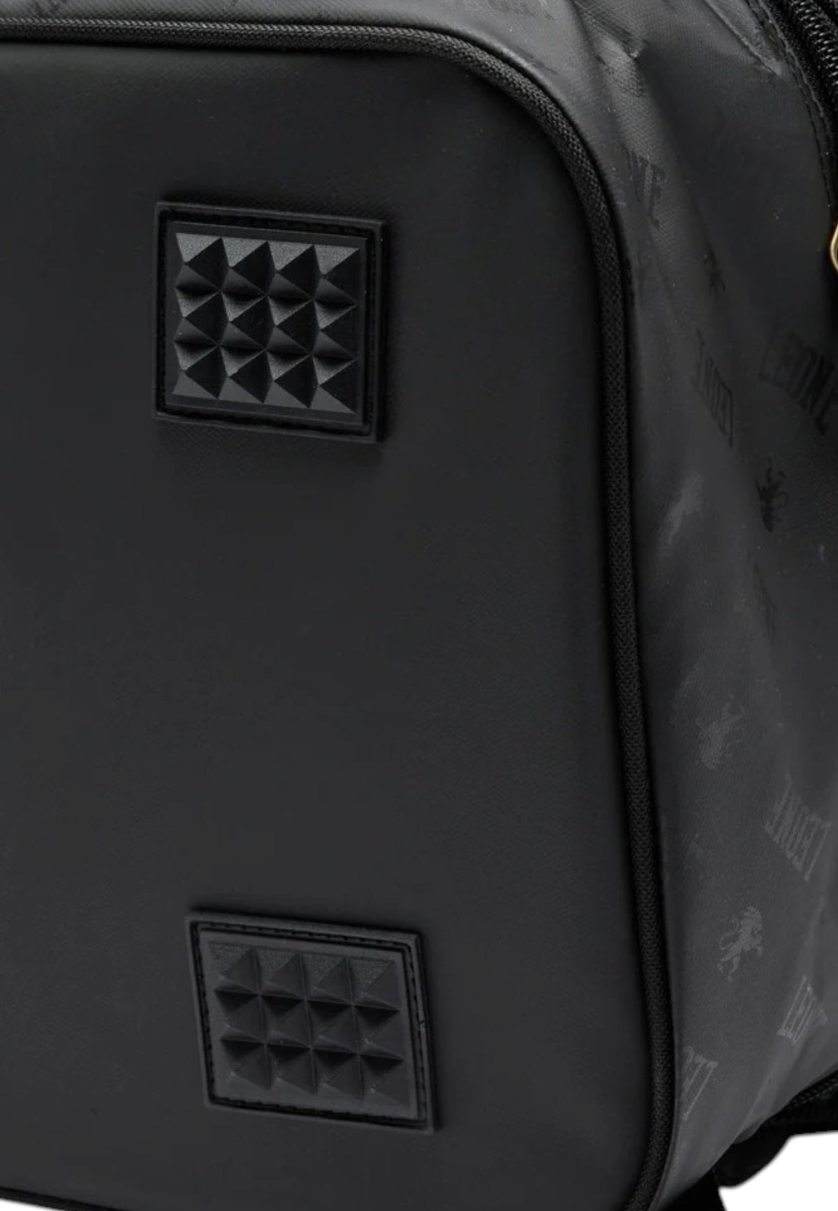 ACCESSORI LIFESTYLE Nero/oro Leone