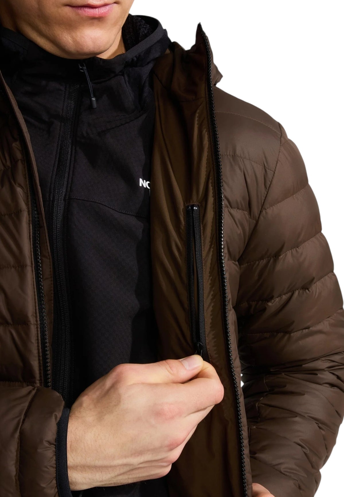 GIUBBINI E GIACCHE Marrone The North Face
