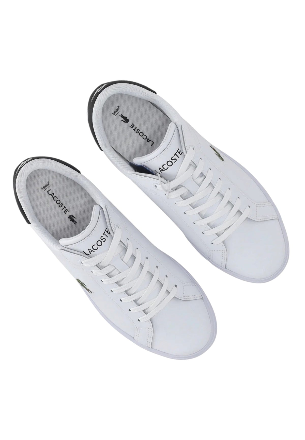 SCARPE Bianco/nero Lacoste