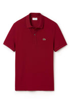 MAGLIONI E POLO Bordeaux Lacoste