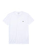 T-SHIRT E CANOTTE Bianco Lacoste