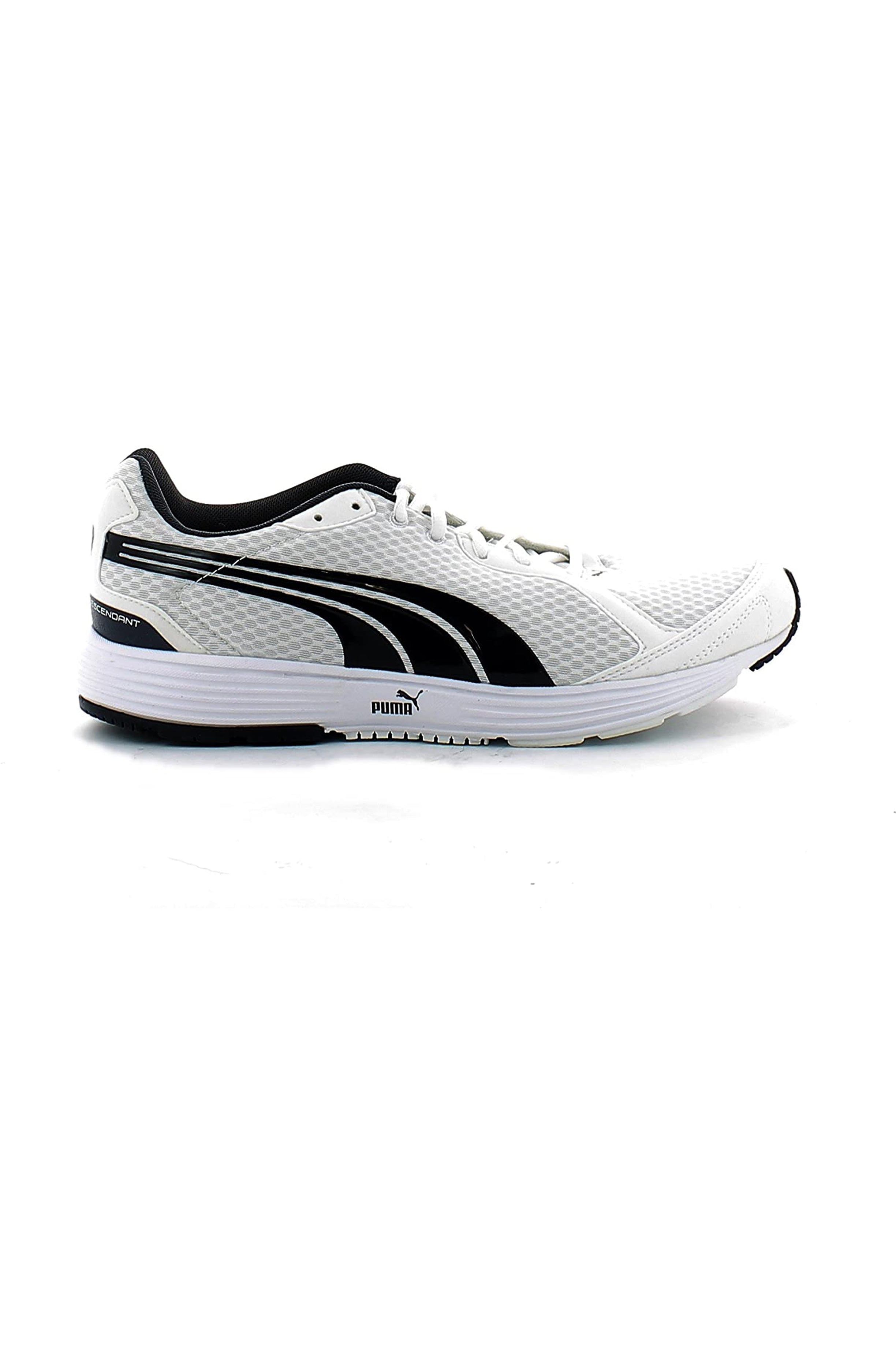 SCARPE Bianco/blu Puma