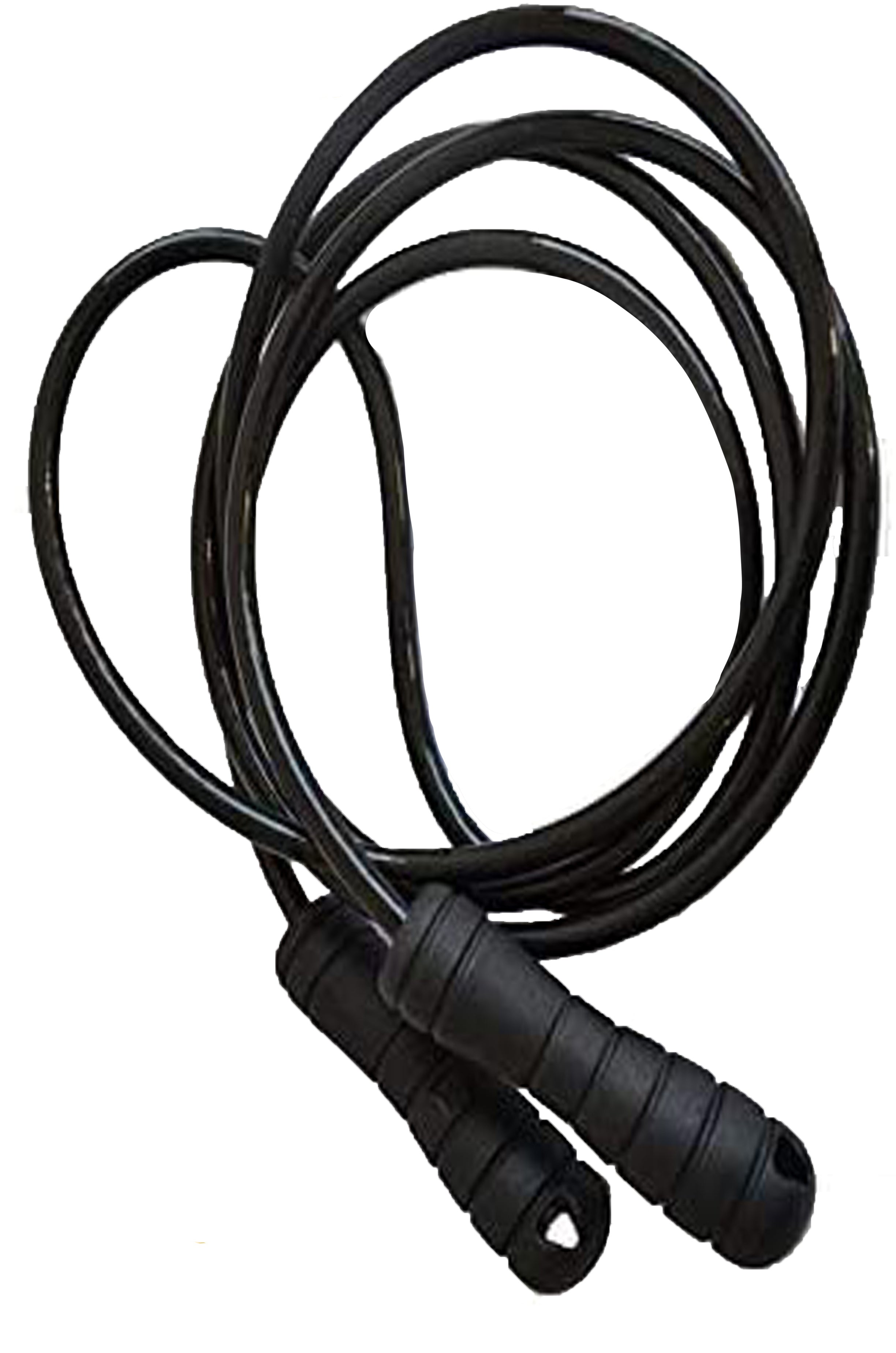 ACCESSORI PALESTRA Nero Leone