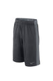 PANTALONCINI Grigio Nike