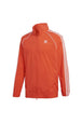 GIUBBINI E GIACCHE Arancio/bianco Adidas Originals