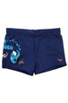 COSTUMI Blu Arena