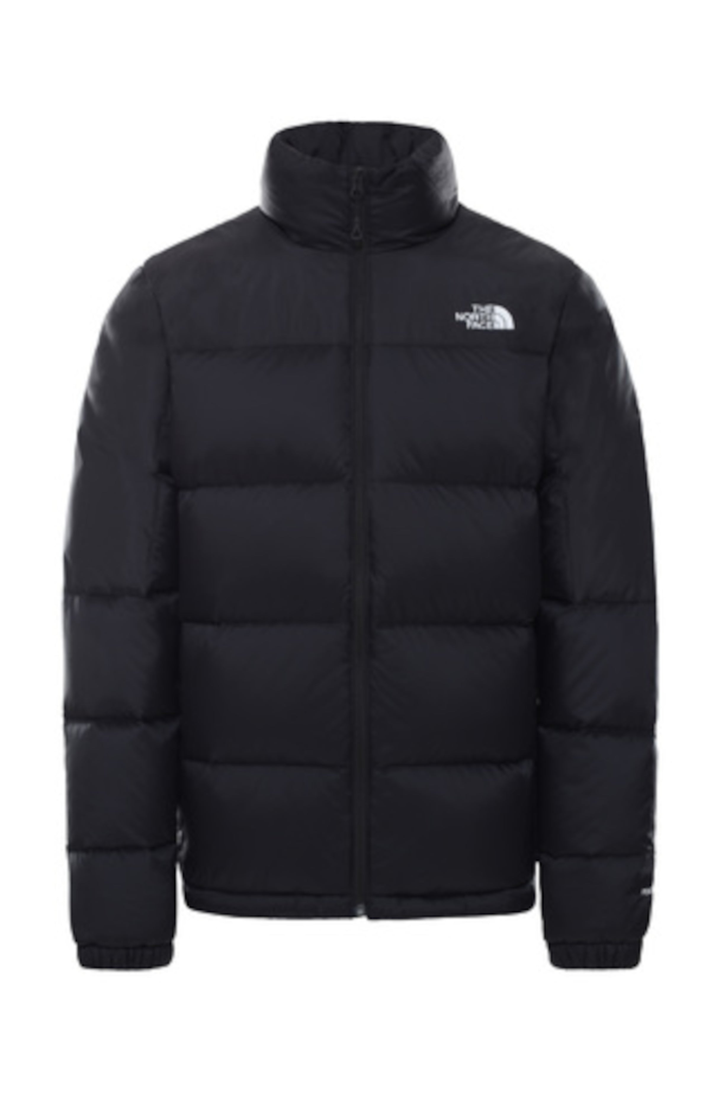 GIUBBINI E GIACCHE Nero The North Face