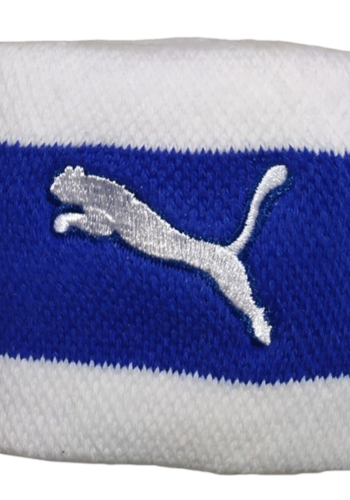 ACCESSORI PALESTRA Bianco/blu Puma