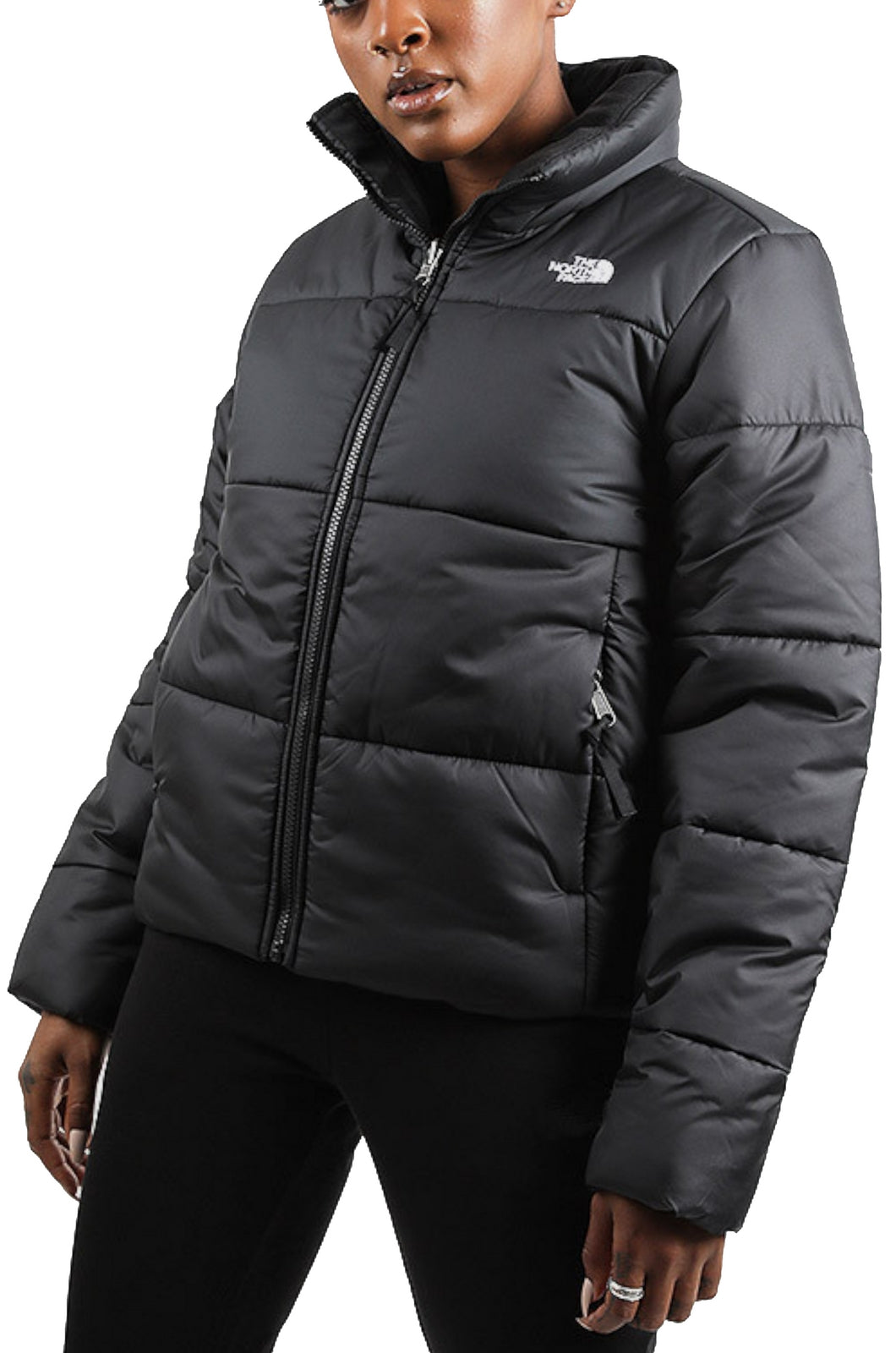 GIUBBINI E GIACCHE Nero The North Face