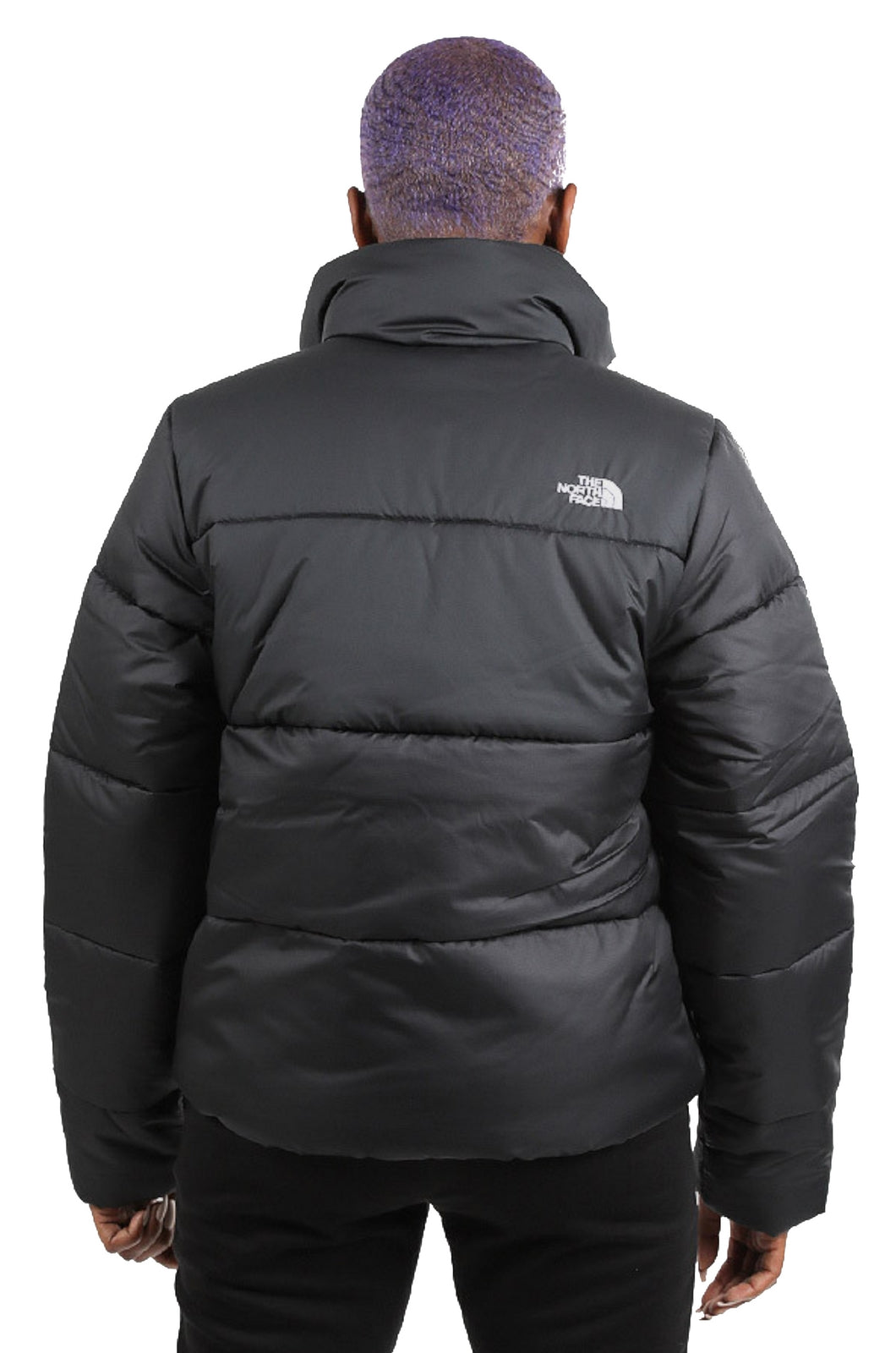 GIUBBINI E GIACCHE Nero The North Face