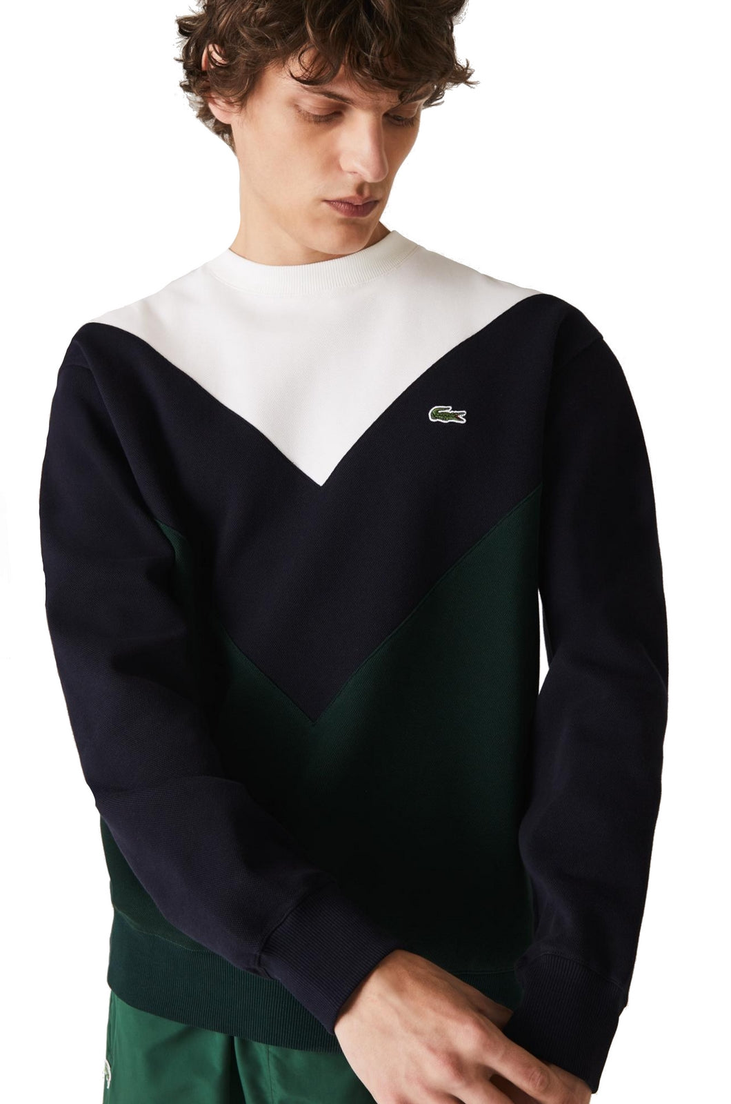 FELPE Bianco/blu Lacoste