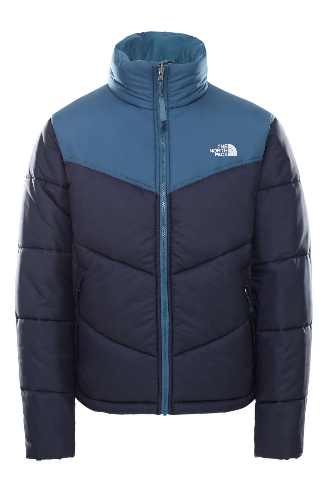 GIUBBINI E GIACCHE Blu/azzurro The North Face