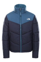 GIUBBINI E GIACCHE Blu/azzurro The North Face