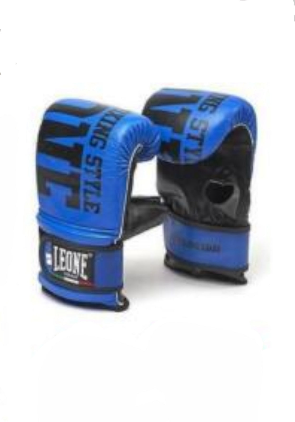 BOXE-KARATE-JUDO Blu/nero Leone