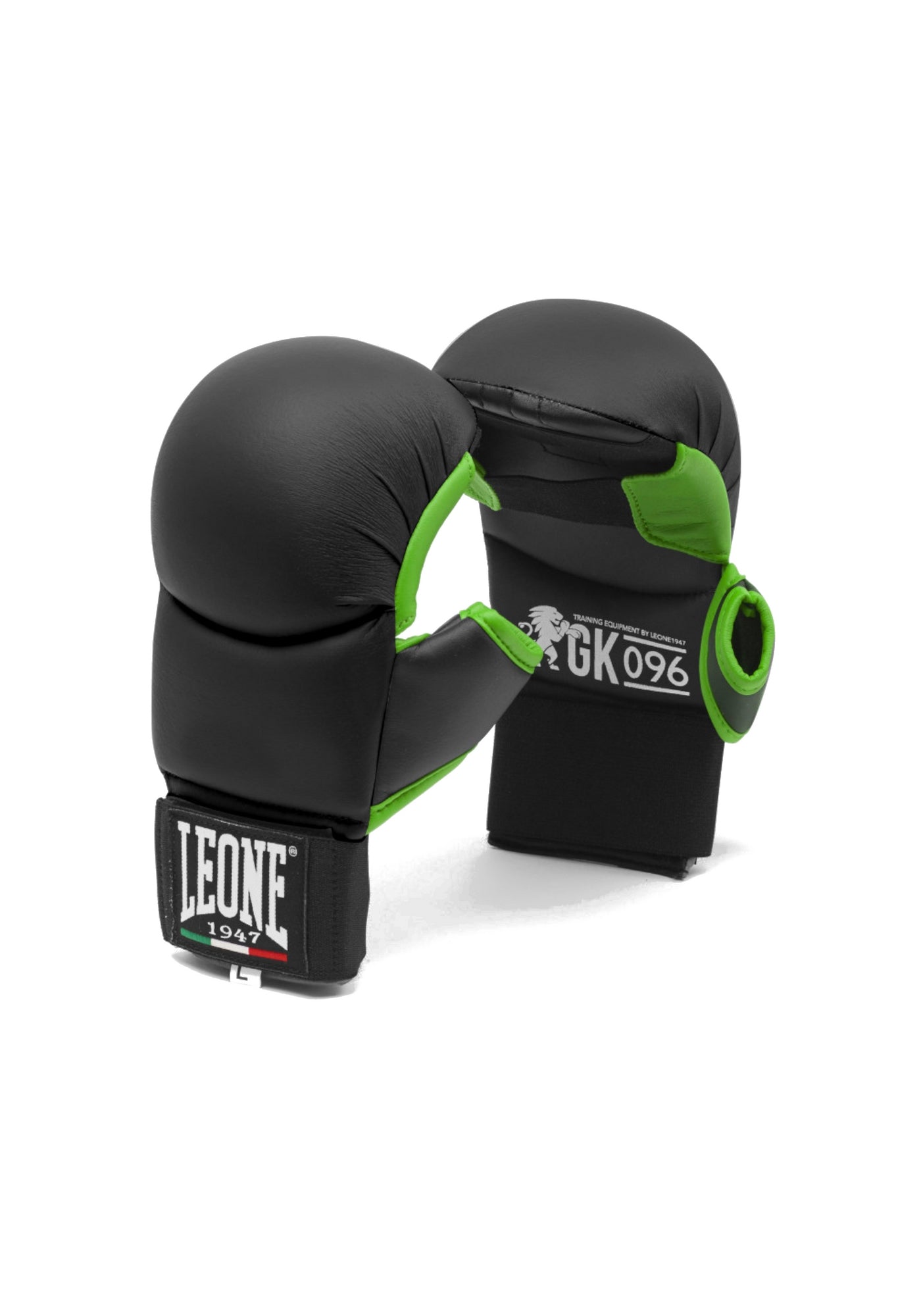 BOXE-KARATE-JUDO Nero/verde Leone