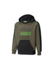 FELPE Verde/nero Puma