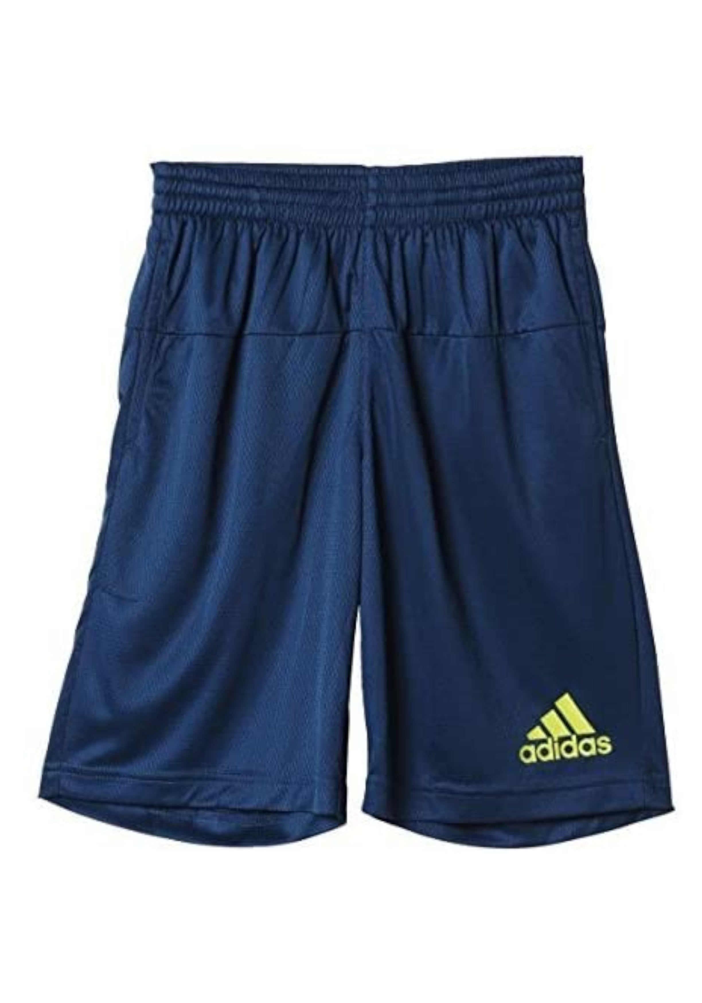 PANTALONCINI Blu/verde Adidas