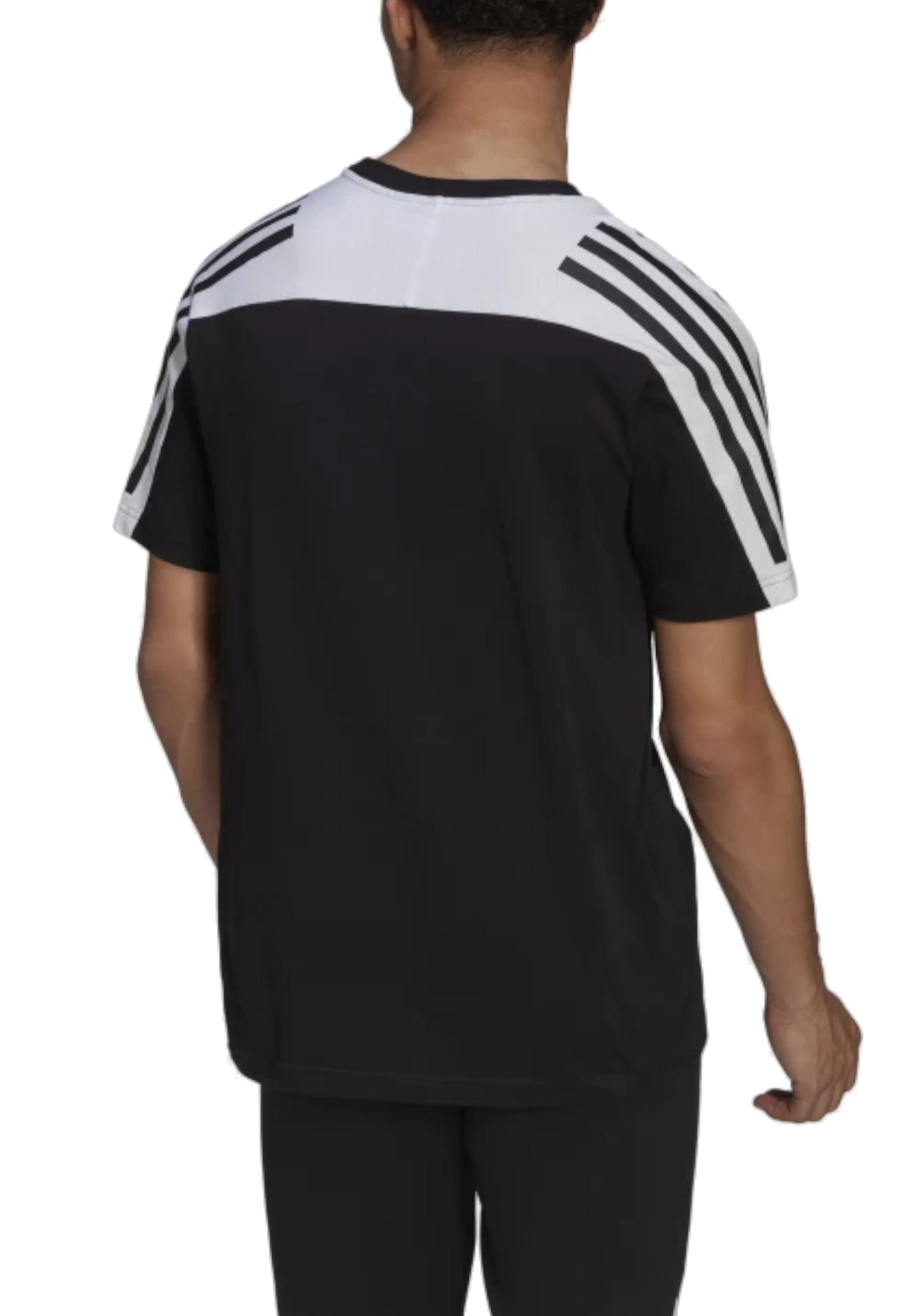 T-SHIRT E CANOTTE Nero/bianco Adidas