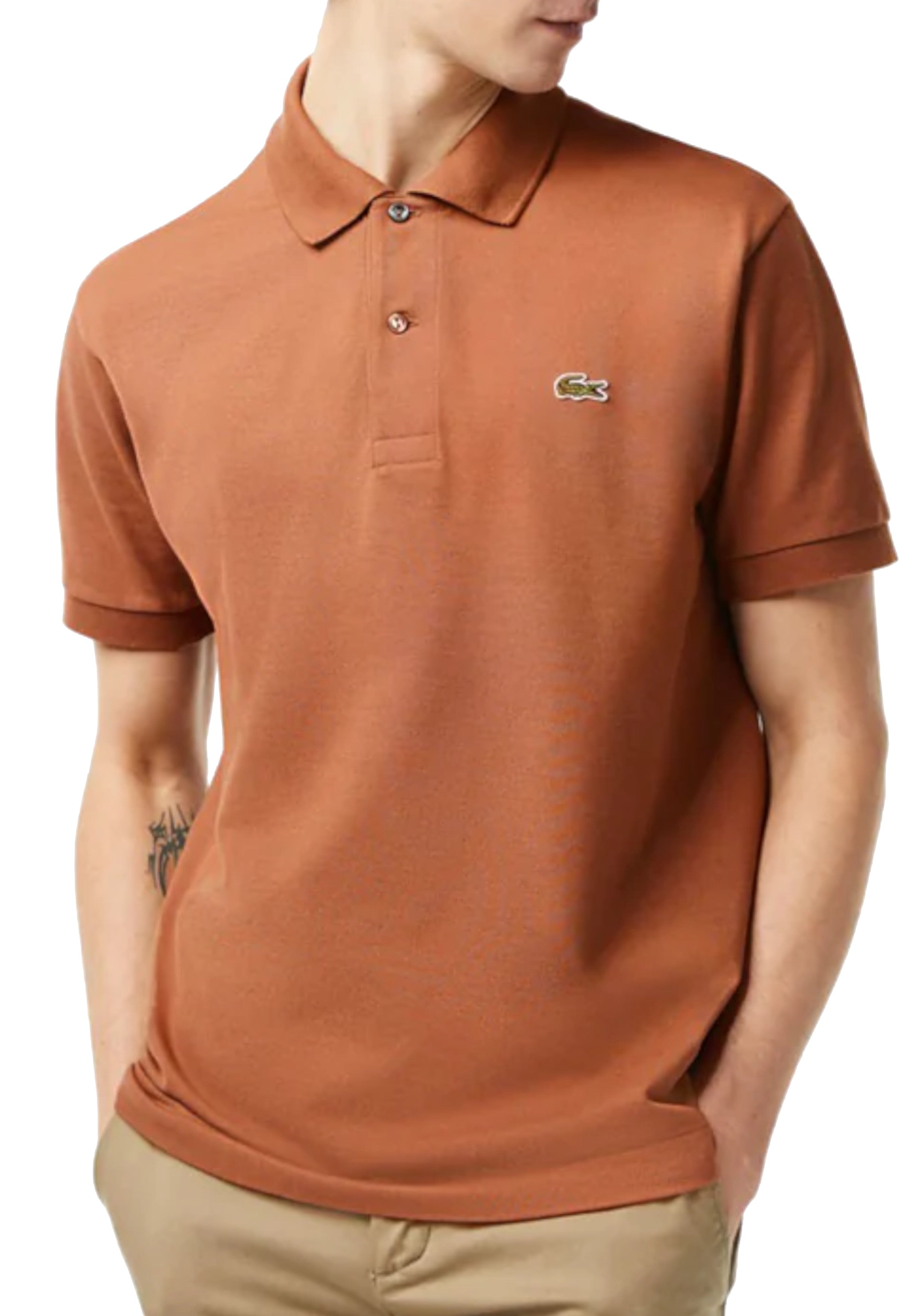 MAGLIONI E POLO Caramello Lacoste