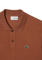 MAGLIONI E POLO Marrone Lacoste