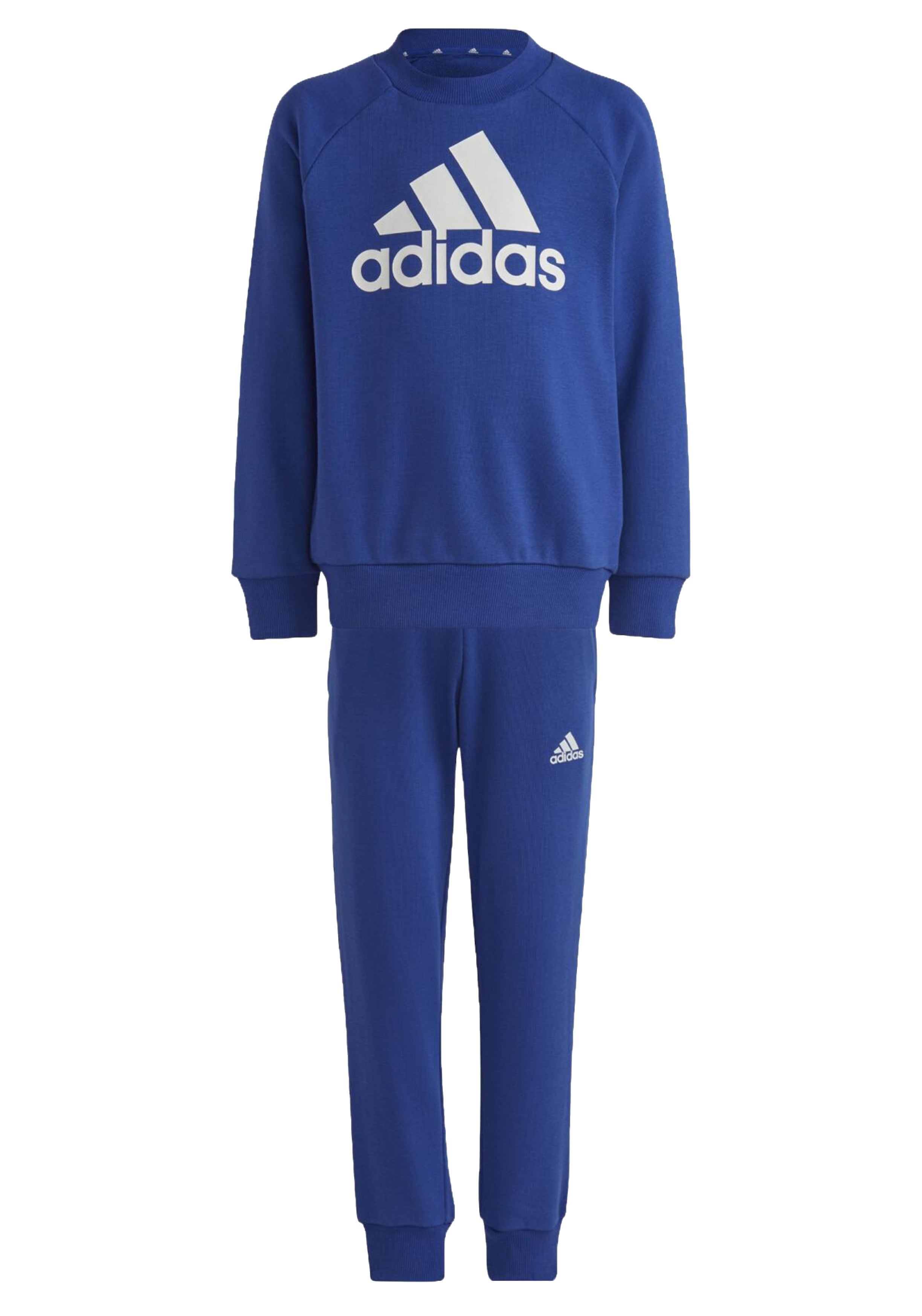 TUTE Azzurro/bianco Adidas