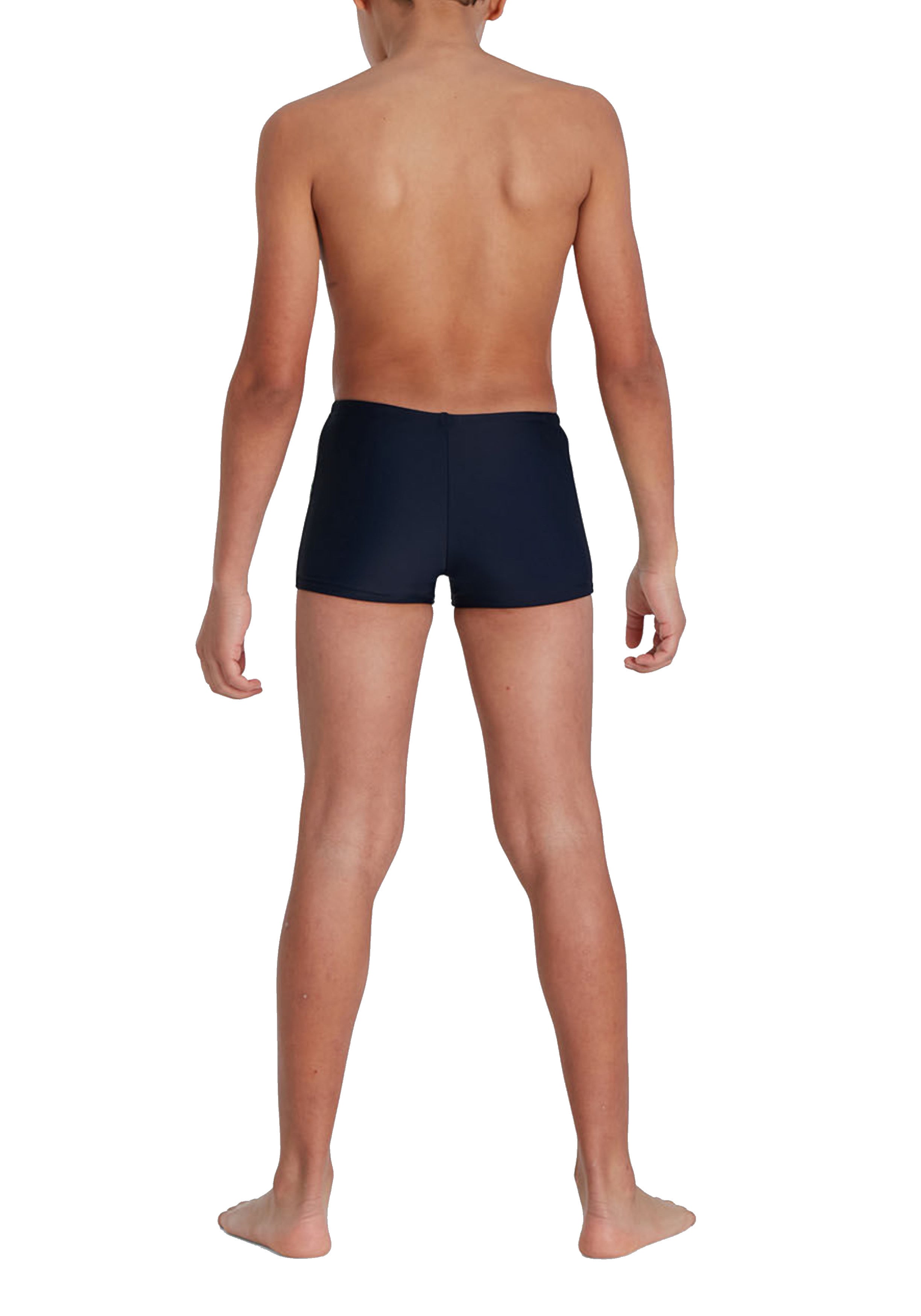 COSTUMI Blu/verde Speedo