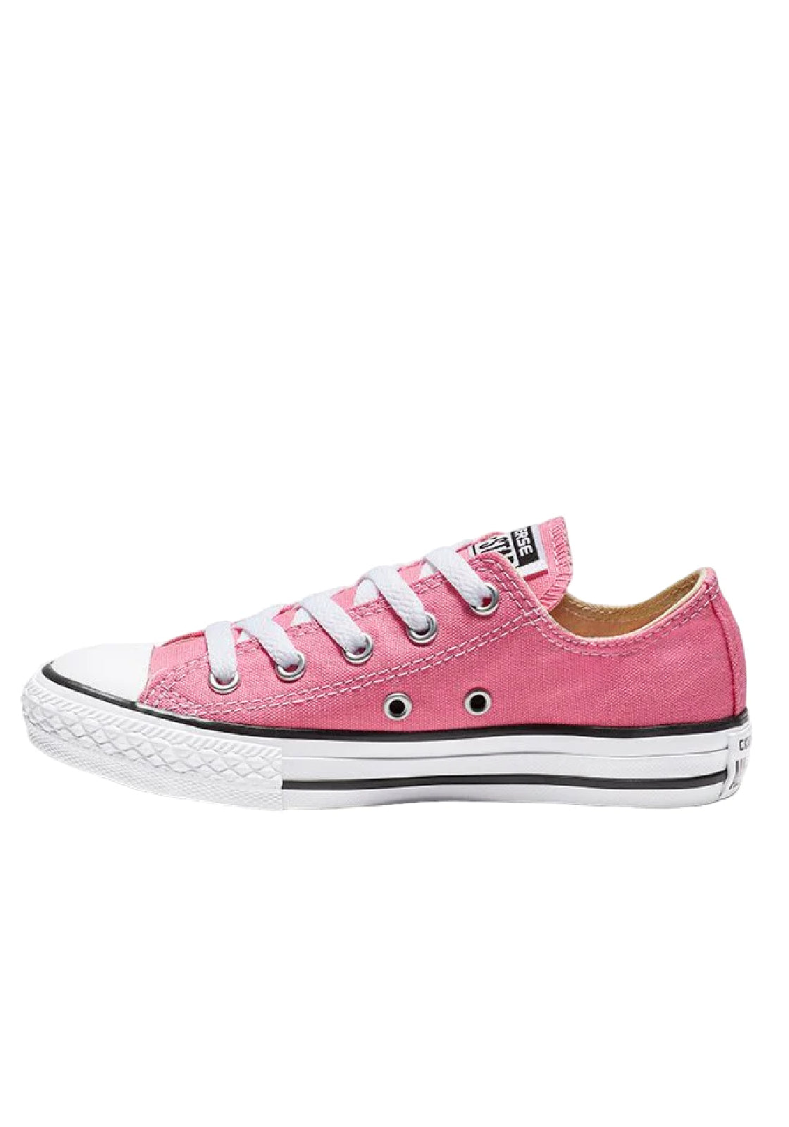 SCARPE Rosa Converse