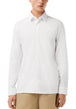 CAMICIE Bianco Lacoste