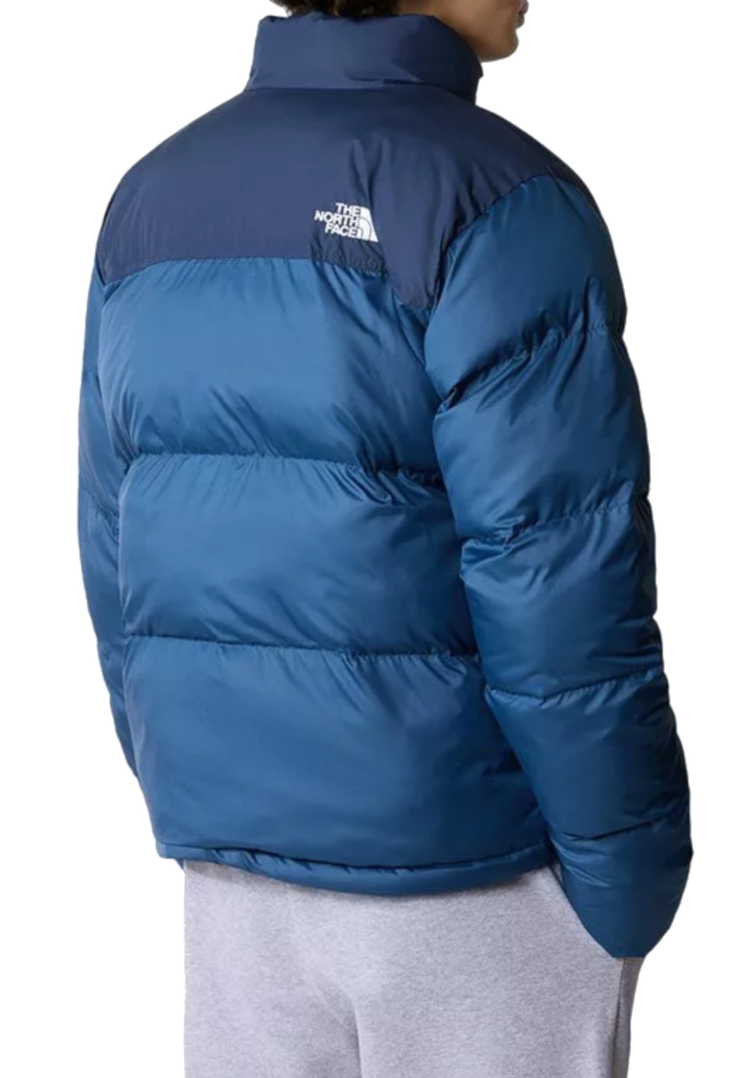 GIUBBINI E GIACCHE Blu The North Face