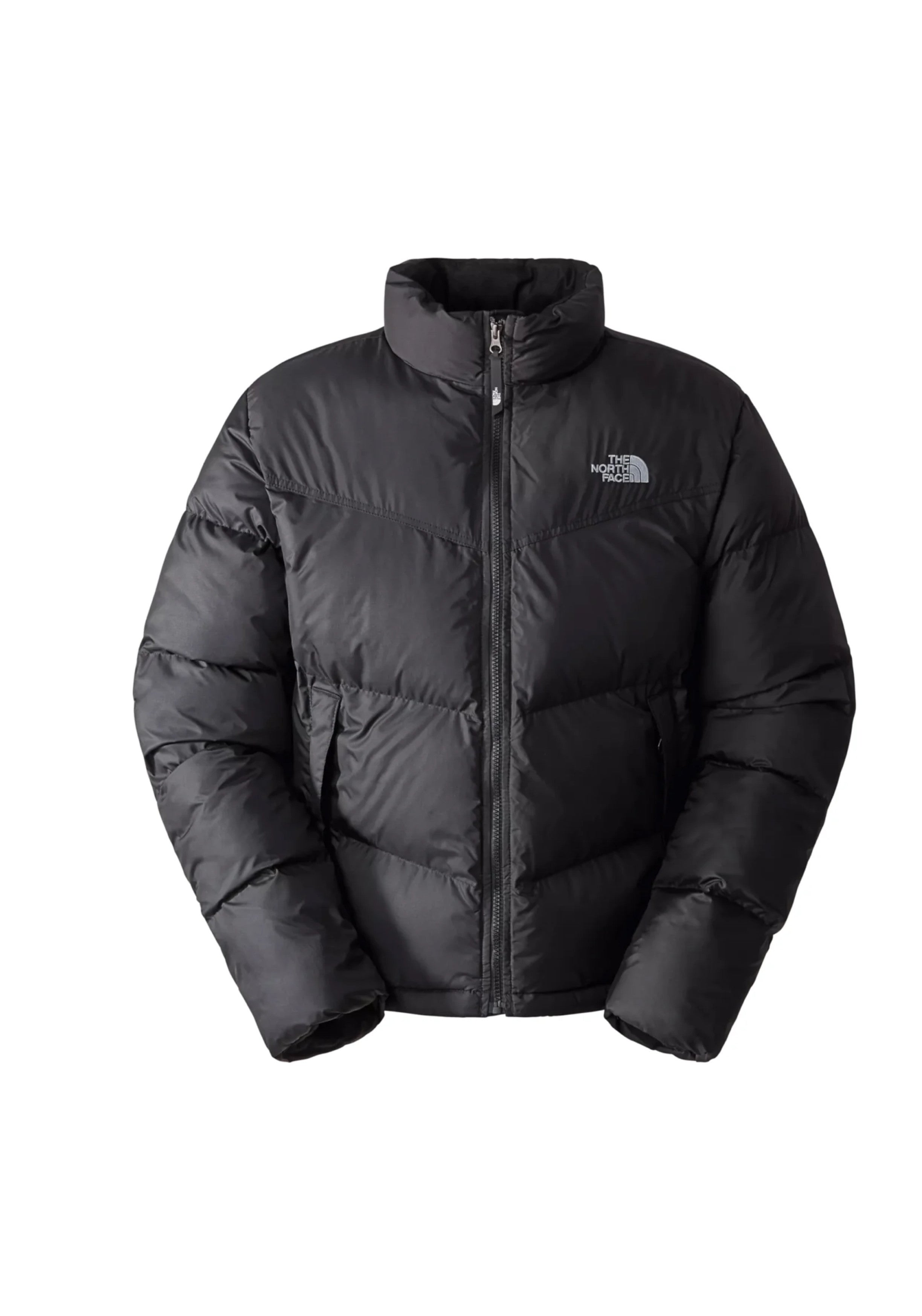 GIUBBINI E GIACCHE Nero The North Face