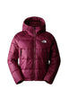 GIUBBINI E GIACCHE Vinaccia The North Face