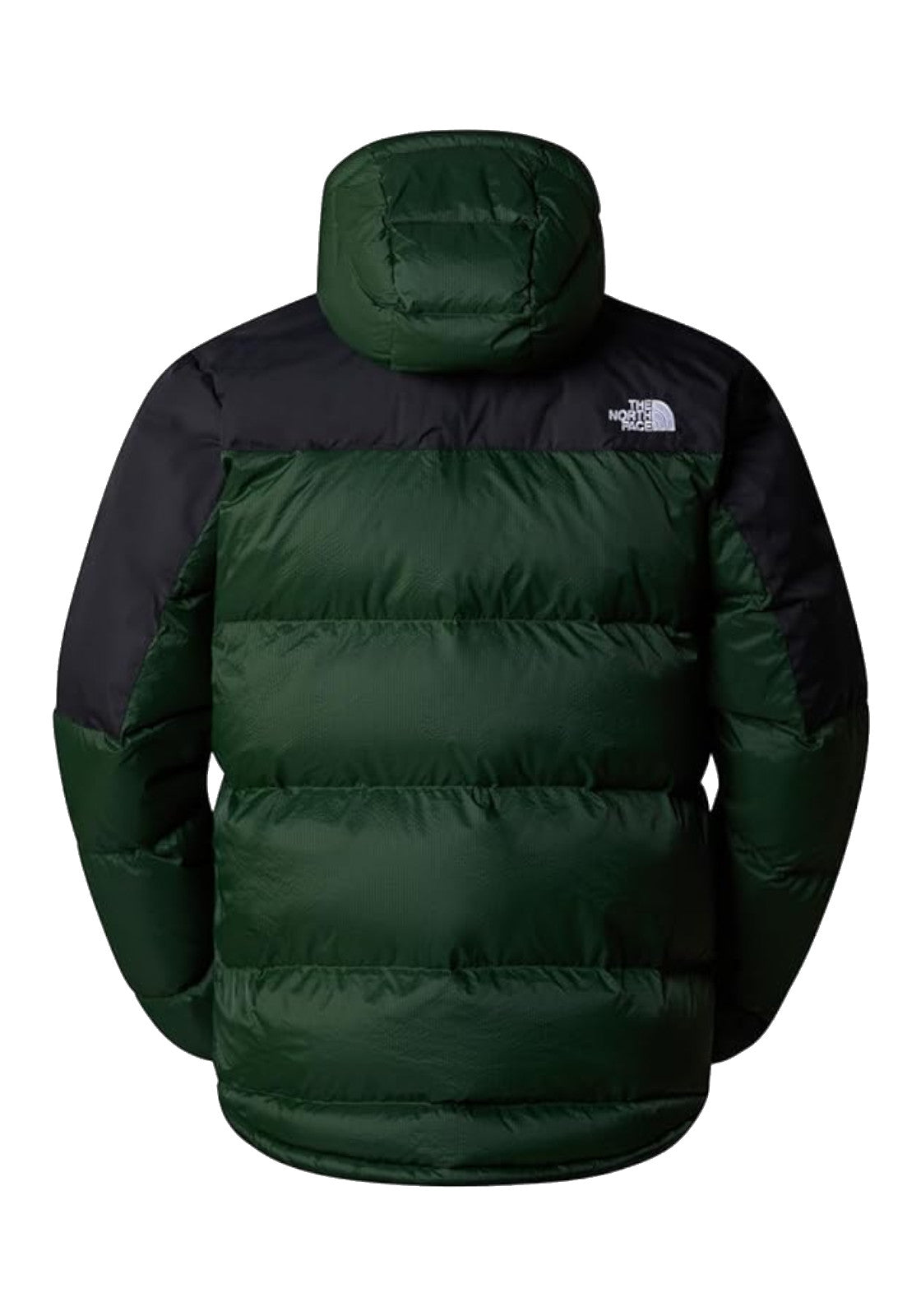 GIUBBINI E GIACCHE Verde/nero The North Face