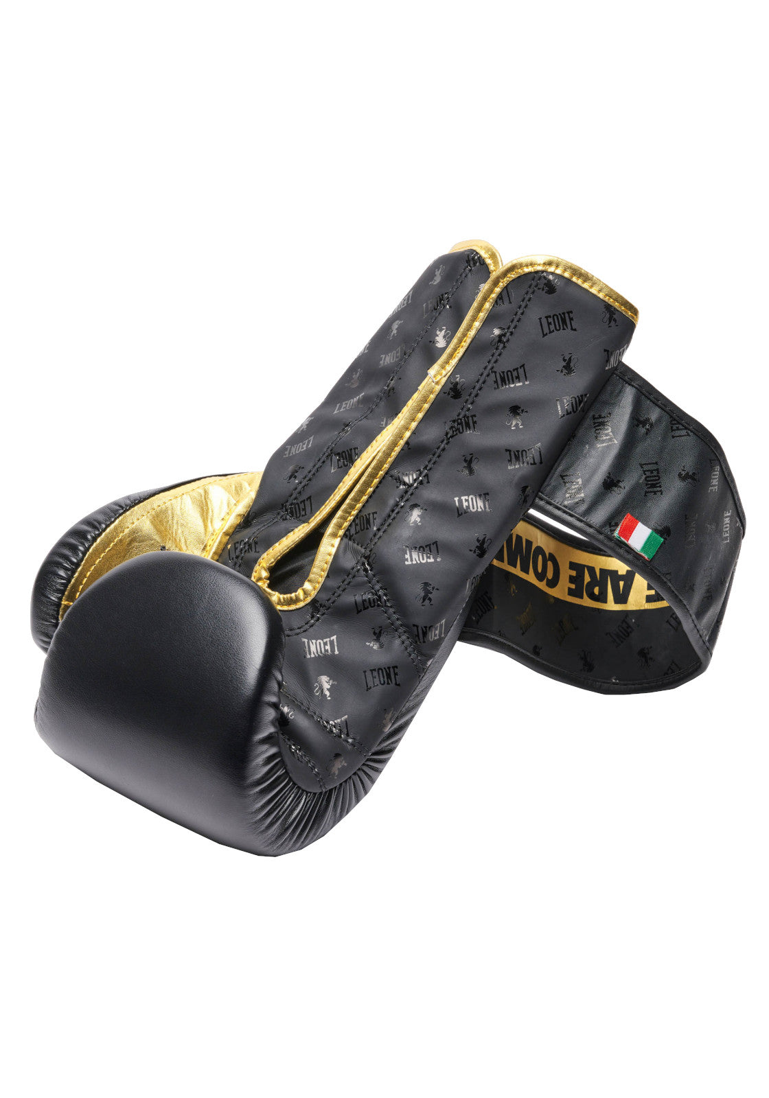 BOXE-KARATE-JUDO Nero/oro Leone